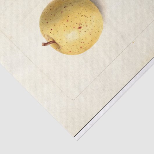 Papier Mousseline La pomme perdue  (Détail)