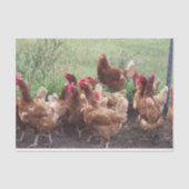 Papier Mousseline La procession (des poulets) (Recto)