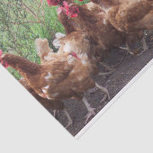 Papier Mousseline La procession (des poulets) (Détail)