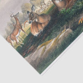 Papier Mousseline La queue blanche de Joseph Wolf (Détail)