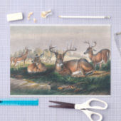 Papier Mousseline La queue blanche de Joseph Wolf (Artisanat)