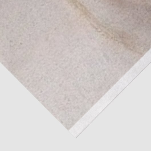 Papier Mousseline La Reine Grey droite (Détail)