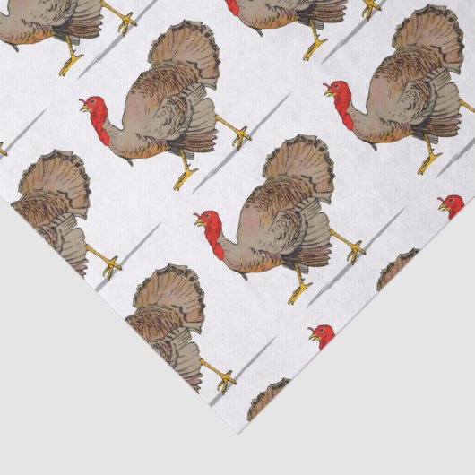 Papier Mousseline La Turquie (Détail)