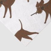 Papier Mousseline Laboratoire de chocolat LR avec bâton (Détail)