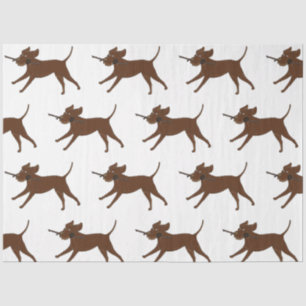 Papier Mousseline Laboratoire de chocolat LR avec bâton