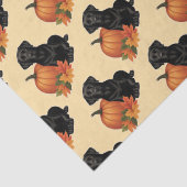 Papier Mousseline Labrador Noir avec feuilles d'automne et Citrouill (Détail)