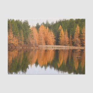 Papier Mousseline Lac aux arbres d'automne colorés orange thème auto