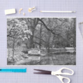 Papier Mousseline Lac romatique (Artisanat)