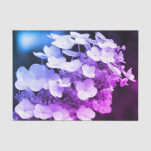 Papier Mousseline Lacecap Hydrangea Découpage De Tint Noir Et Blanc