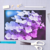 Papier Mousseline Lacecap Hydrangea Découpage De Tint Noir Et Blanc (Artisanat)