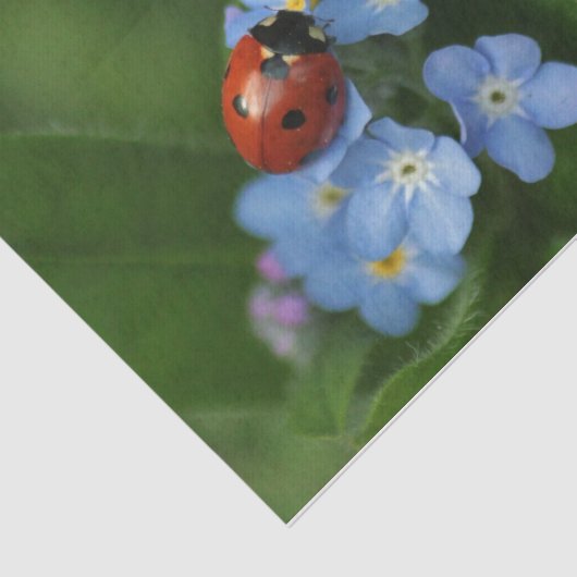 Papier Mousseline Ladybug On Flowers (Détail)