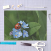 Papier Mousseline Ladybug On Flowers (Artisanat)