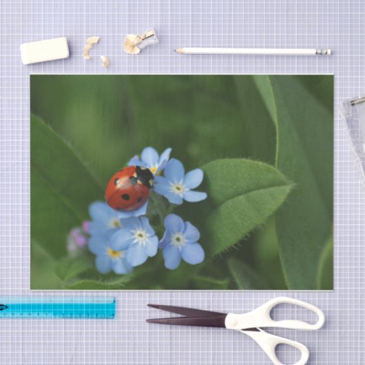 Papier Mousseline Ladybug On Flowers (Artisanat)
