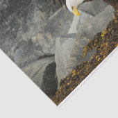 Papier Mousseline L'aigle à tête blanche (Détail)