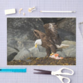 Papier Mousseline L'aigle à tête blanche (Artisanat)