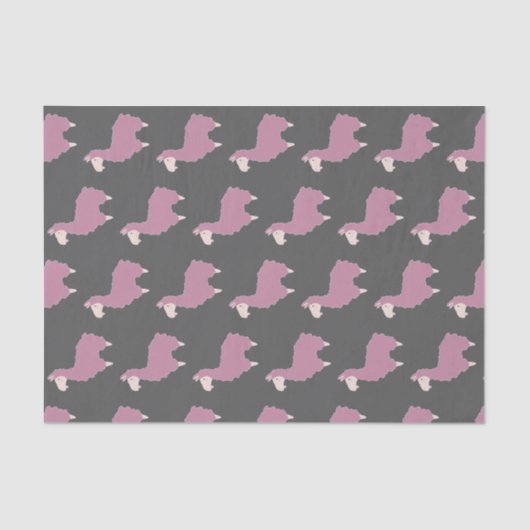 Papier Mousseline Lamas et Gris Fluffy Rose (Recto)