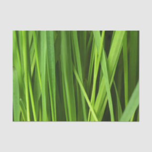 Papier Mousseline Lames d'herbe