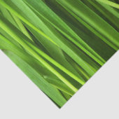 Papier Mousseline Lames d'herbe (Détail)