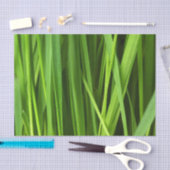 Papier Mousseline Lames d'herbe (Artisanat)