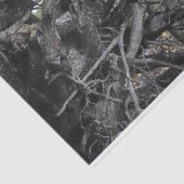 Papier Mousseline L'amour d'un arbre tombé (Détail)