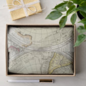 Papier Mousseline L'Antarctique 4 (Cadeau)