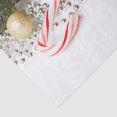 Papier Mousseline Lanternes Et Perle De La Branche De Pins De Noël (Détail)