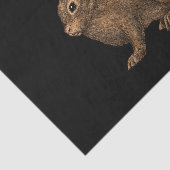 Papier Mousseline Lapin 2 (Détail)