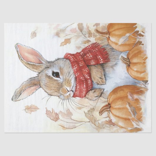 Papier Mousseline Lapin Lapin Automne Citrouille Illustration (Recto)