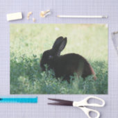 Papier Mousseline Lapin noir de Lil (Artisanat)