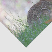 Papier Mousseline Lapin sauvage dans l'herbe (Détail)