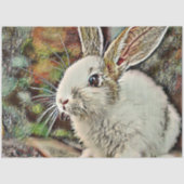 Papier Mousseline lapin toony (Recto)