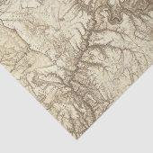 Papier Mousseline L'Arizona 3 (Détail)