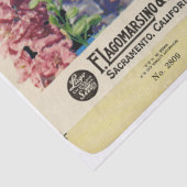 Papier Mousseline Larkspur et instructions vintage Seed Packet (Détail)