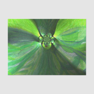 Papier Mousseline L'art abstrait macule le feuille vert