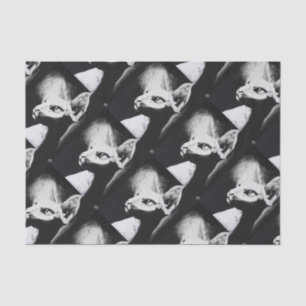 Papier Mousseline L'art chauve de blanc de noir d'animal familier de