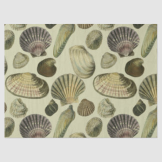 Papier Mousseline l'art de la coquille marine vintage