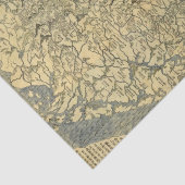Papier Mousseline L'Asie 42 (Détail)