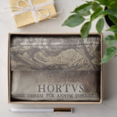 Papier Mousseline Latin scrollwork (Cadeau)