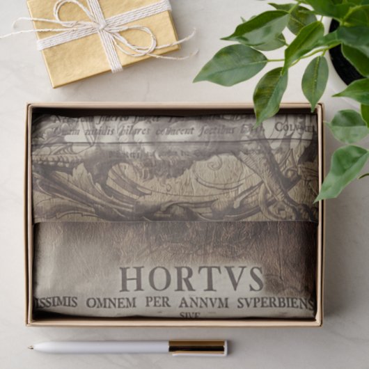 Papier Mousseline Latin scrollwork (Cadeau)