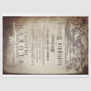 Papier Mousseline Latin scrollwork