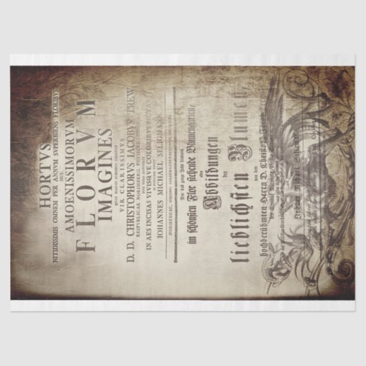 Papier Mousseline Latin scrollwork (Recto)