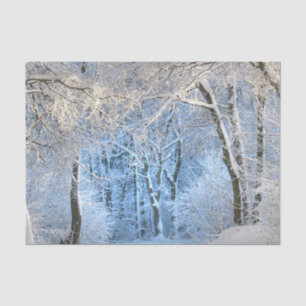 Papier Mousseline l'autre pays des merveilles d'hiver