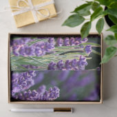 Papier Mousseline Lavande Lusace (Cadeau)