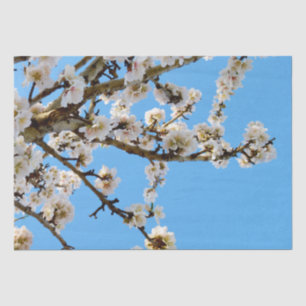 Papier Mousseline L'avènement du printemps : Les fleurs blanches con