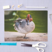 Papier Mousseline Le Canard A Une Jambe Vers Le Haut (Artisanat)