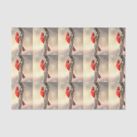 Papier Mousseline Le cardinal au chocolat (Recto)