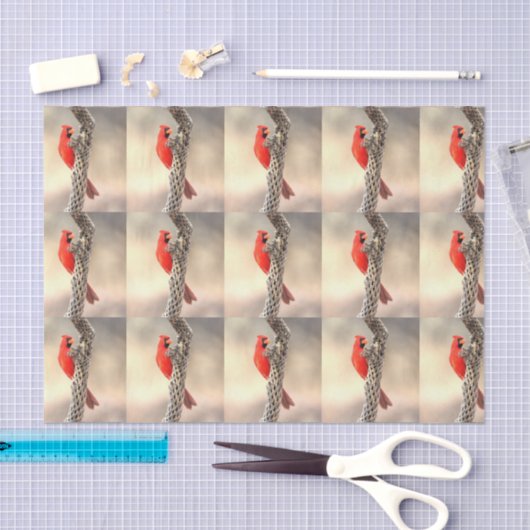 Papier Mousseline Le cardinal au chocolat (Artisanat)