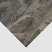 Papier Mousseline Le Christ dans le désert (par Ivan Kramskoi) (Détail)
