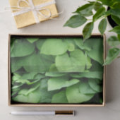 Papier Mousseline Le feuillage vert du tuyau de Hollande (Cadeau)