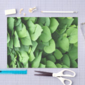 Papier Mousseline Le feuillage vert du tuyau de Hollande (Artisanat)